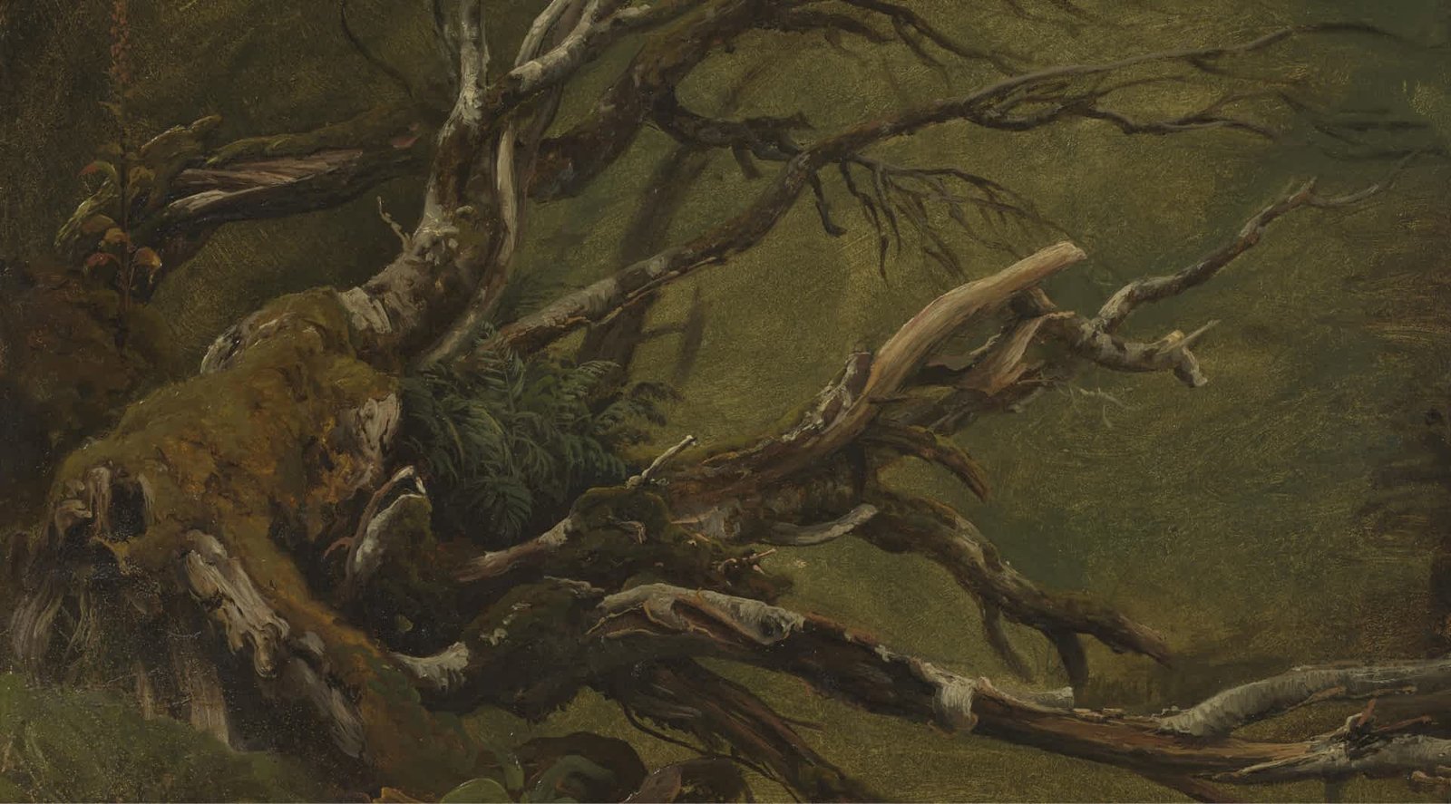 Decaying Nature